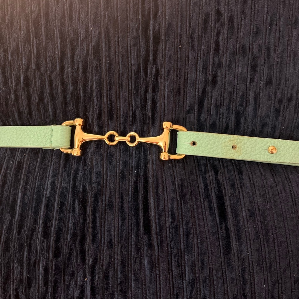 Elegant Mint Aqua Belt with Gold Buckle